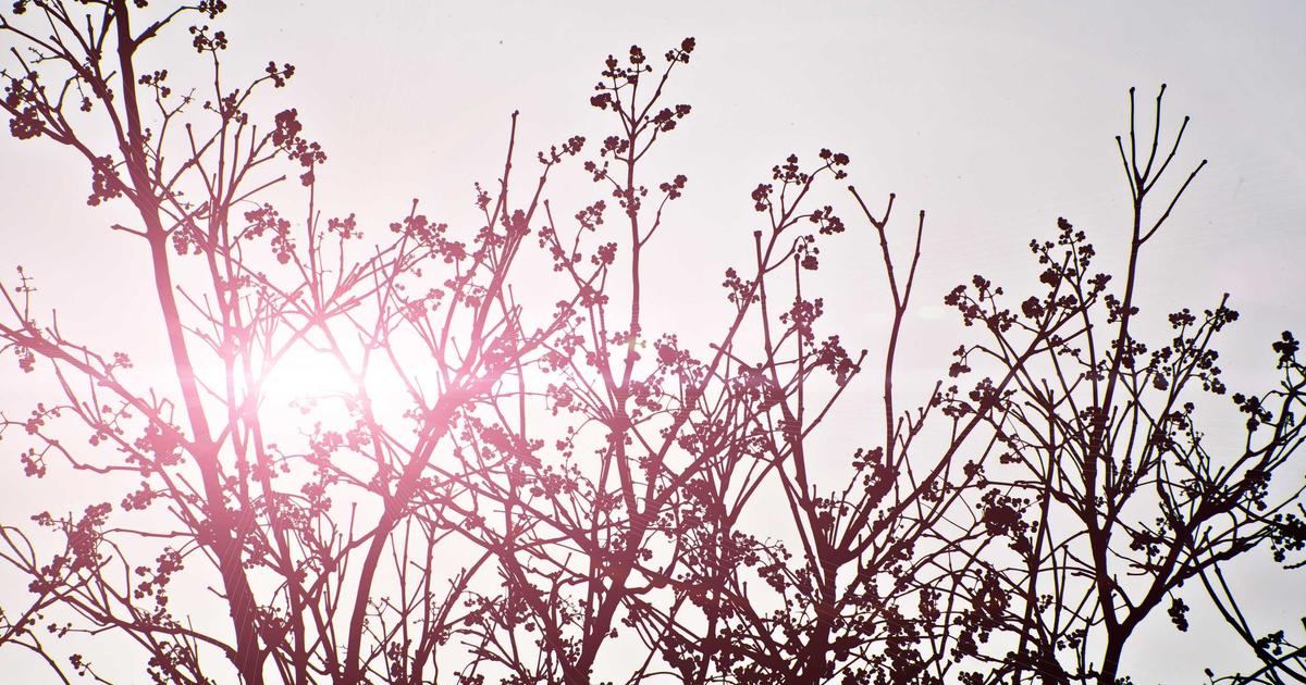 Why Your Blog Posts Rank on Page 2 (And the 15-Minute Fix That Changes Everything)