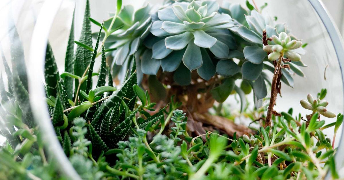 The Conversion Tracking Nightmare: Why 41% of Ecommerce Stores Attribute Sales to the Wrong Channel (And the GA4 Attribution Model That Fixes It)