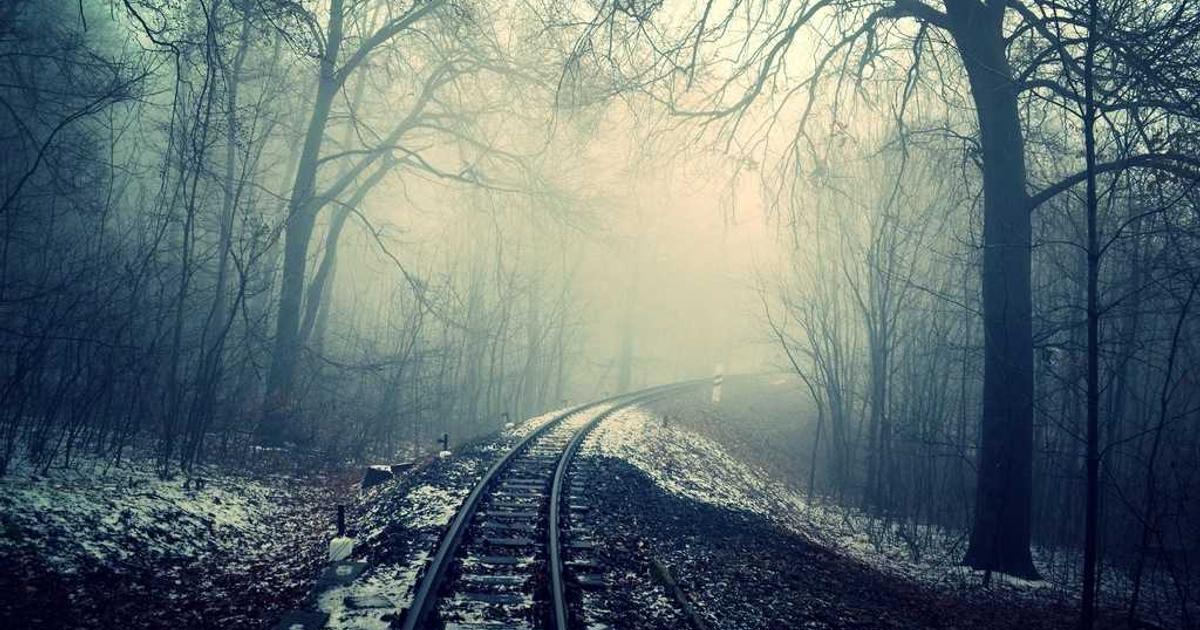 The Canonical Tag Disaster: Why 41% of Ecommerce Sites Accidentally Delete Their Own Rankings (With Shopify and WooCommerce Fixes)