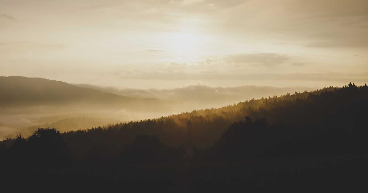 The Schema Markup Audit That Boosted CTR by 41% for 3 Local Businesses (Without Touching Content)