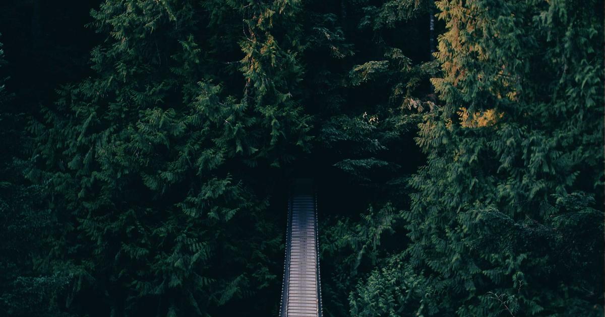 The Podcast SEO Strategy That Landed 4 Shows in Apple’s Top 100 (Without Guest Swapping or Paid Ads)