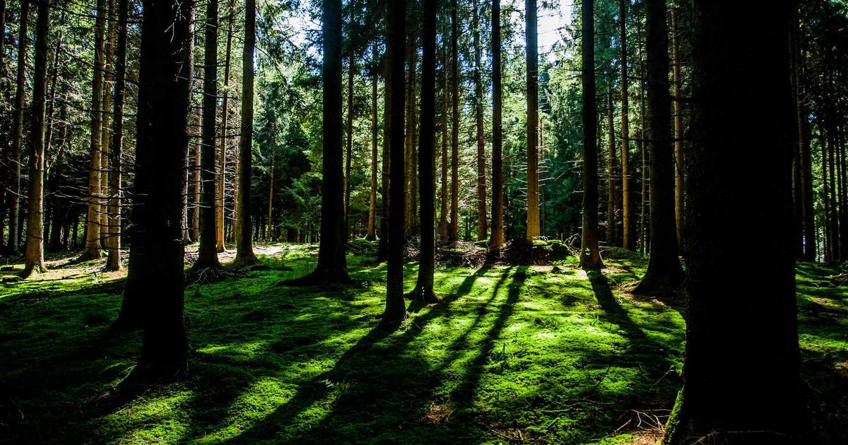 The YouTube SEO Checklist That Ranked 8 Videos in the Top 3 (Without Paid Promotion)