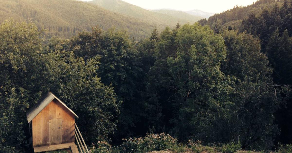 The Programmatic SEO Experiment: Building 2,847 Landing Pages That Generated $340K in Affiliate Revenue