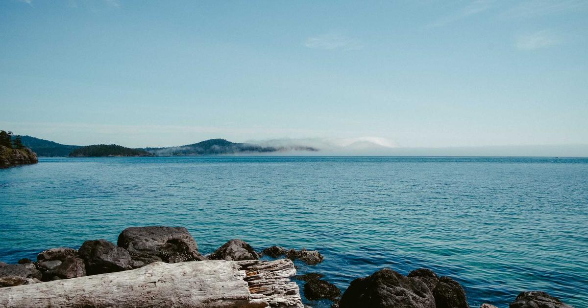 The Favicon Psychology Study: How 16×16 Pixel Icons Influence Click-Through Rates in SERPs (Tested Across 340 Domains)